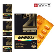 브이타민21 이미지