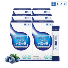 블루베리맛 프로바이오틱스 생유산균 이미지