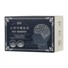 스카이메모리 SKYMEMORY 이미지